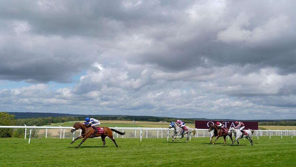 Horse racing action from the 2021 Goodwood Festival